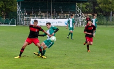SL Benfica - SK Rapid Wien 2-1